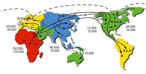 Историю заселения Америки и Азии изменил анализ генофонда